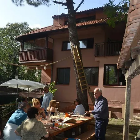 לינה וארוחת בוקר Etna Park *
